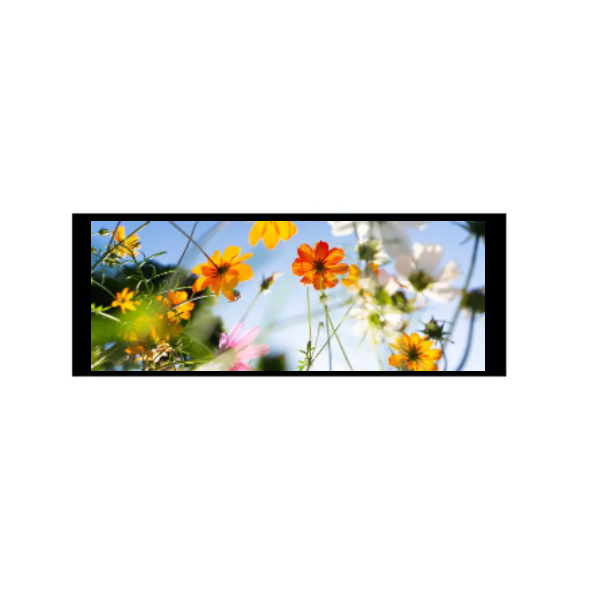6,86 palca 480 × 1280 IPS TFT modul